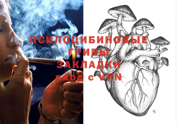 мдпв Новодвинск
