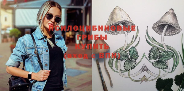 стаф Сясьстрой