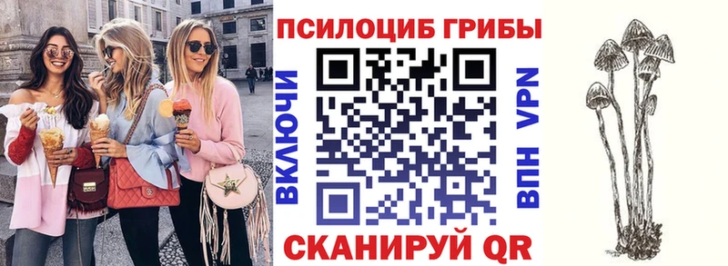 Галлюциногенные грибы Psilocybine cubensis  нарко площадка состав  Реж 