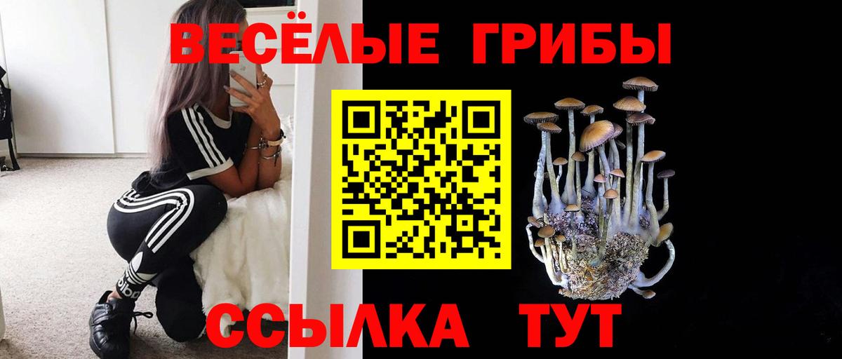 Реж  Псилоцибиновые грибы мицелий  дарнет шоп  Вход с VPN 